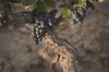 2012 Estate Malbec